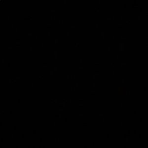 Meet your Posher, Allyson